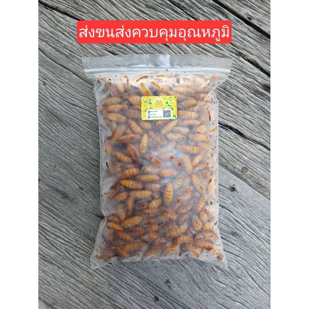 ดักแด้หนอนไหมแช่แข็ง ไม่ใส่เกลือ จัดส่งห้องเย็น