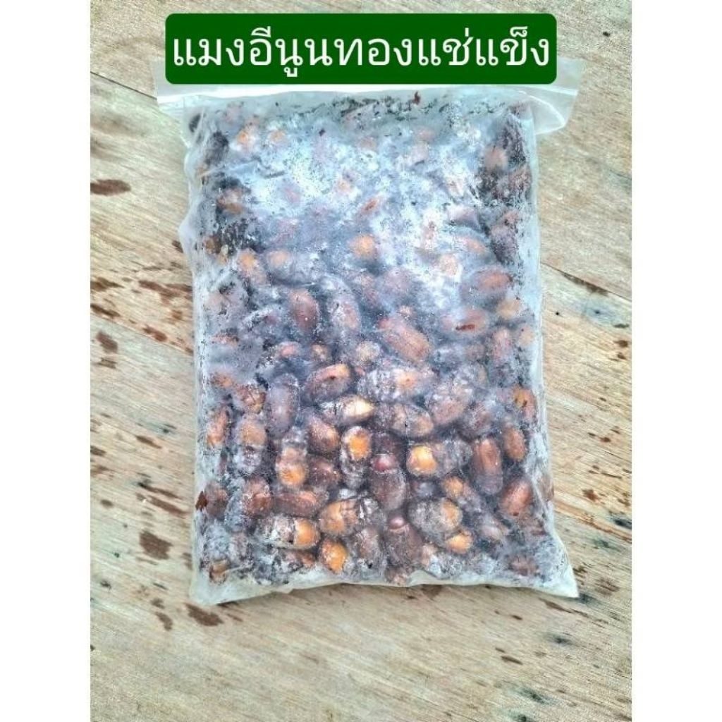 แมงอีนูนทองแช่แข็ง ไม่ใส่เกลือ จัดส่งห้องเย็น