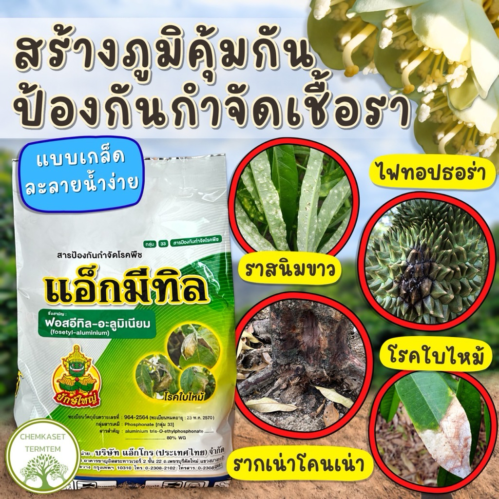 🍀แอ็กมีทิล🍀 ฟอสอีทิล-อะลูมิเนียม (fosetyl-aluminium) 80% WG ขนาด 1 กิโลกรัม