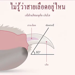 🐾 กรรไกรตัดเล็บแมวกรรไกรตัดเล็บสุนัขพร้อมไฟ LED มีความคมและทนทานปลอดภัยสําหรับสัตว์เลี้ยง