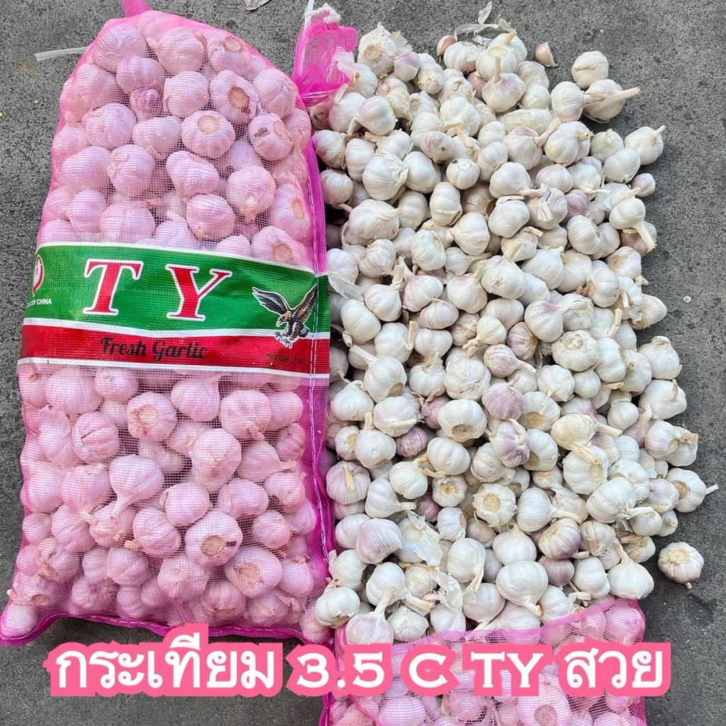 กระเทียมปิงปองหัว  ขนาด 3.5 เซน น้ำหนัก 9.5-9.8 กิโลกรัม