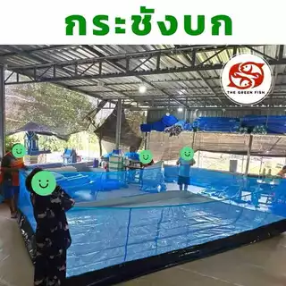 ส่งฟรี- กระชังบก ความสูงผ้ายาง 50 ซม. ต่อมุ้งฟ้า เลี้ยงปลา กบ หอย ปู หนา 0.3 mm ผลิตจากโรงงานโดยตรง