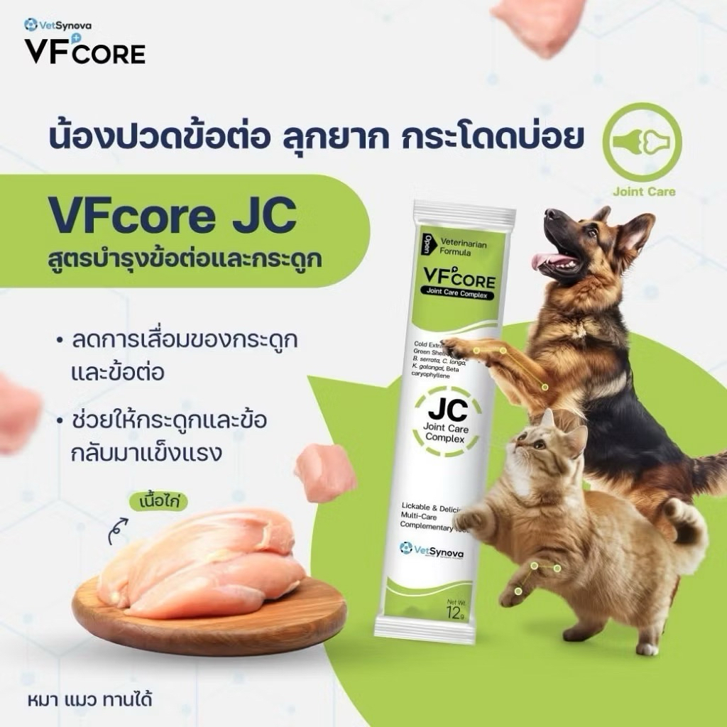 VFcore JC อาหารเสริมแมวเลียบำรุงข้อ