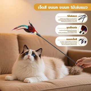 [🚚พร้อมส่ง]ไม้ล่อแมว ของเล่นแมว ไม้ตกแมว แบบโค้ง ปลายขนไก่ ขนนกหลายสี มีกระดิ่ง ไม้ตกแมวแบบสปริง