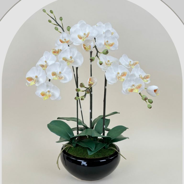 กระถางดอกไม้ปลอม กล้วยไม้สีขาวจัดในกระถางเซรามิคสีดำ ดอกไม้ปลอมตกแต่งบ้าน