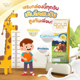 นมโกลด์มิลค์เกิร์นซี่ย์ ( 2ลัง )