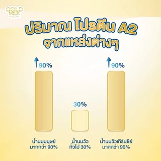 นมโกลด์มิลค์เกิร์นซี่ย์ ( 2ลัง )