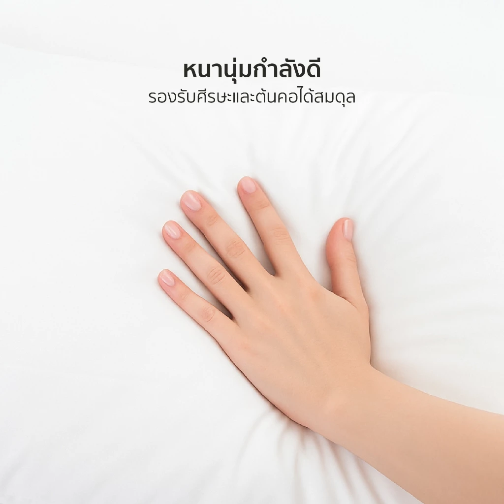 FN หมอนไมโครไฟเบอร์ Essentials 16x24 นิ้ว thumbnail 4