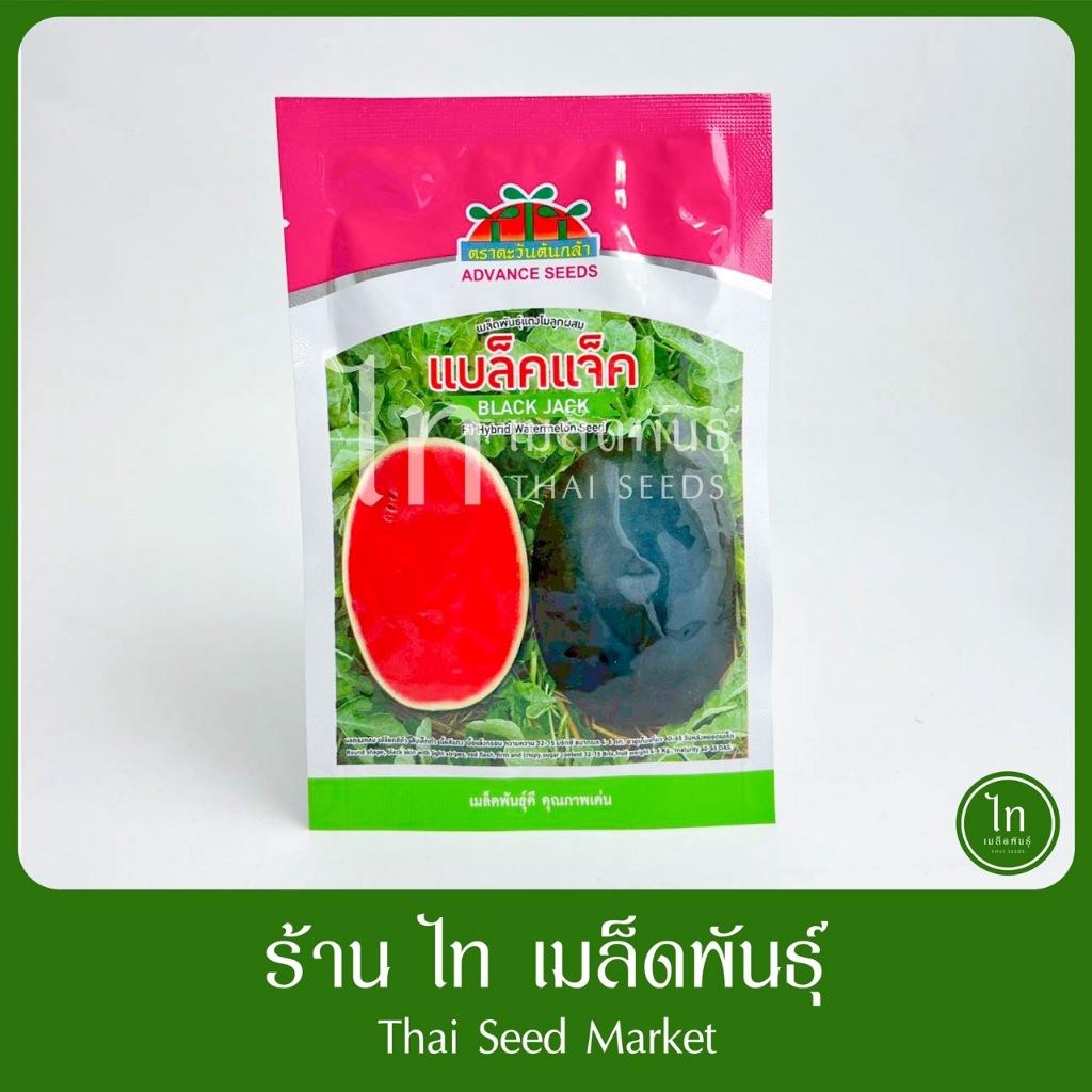 แตงโม แบล็คแจ็ค เมล็ดพันธุ์ แตงโม ลูกผสม ตรา ตะวันต้นกล้าต๋ บรรจุ 40 กรัม ราคา ถูกที่สุด ดีลบีเคเค แกลเลอรีภาพที่ 3