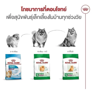 Royal Canin Indoor 500g Puppy, Adult, Senior ❤️🐶โรยัล คานิน สุนัขเลี้ยงในบ้าน ลูก,โต,สูงวัย 500g