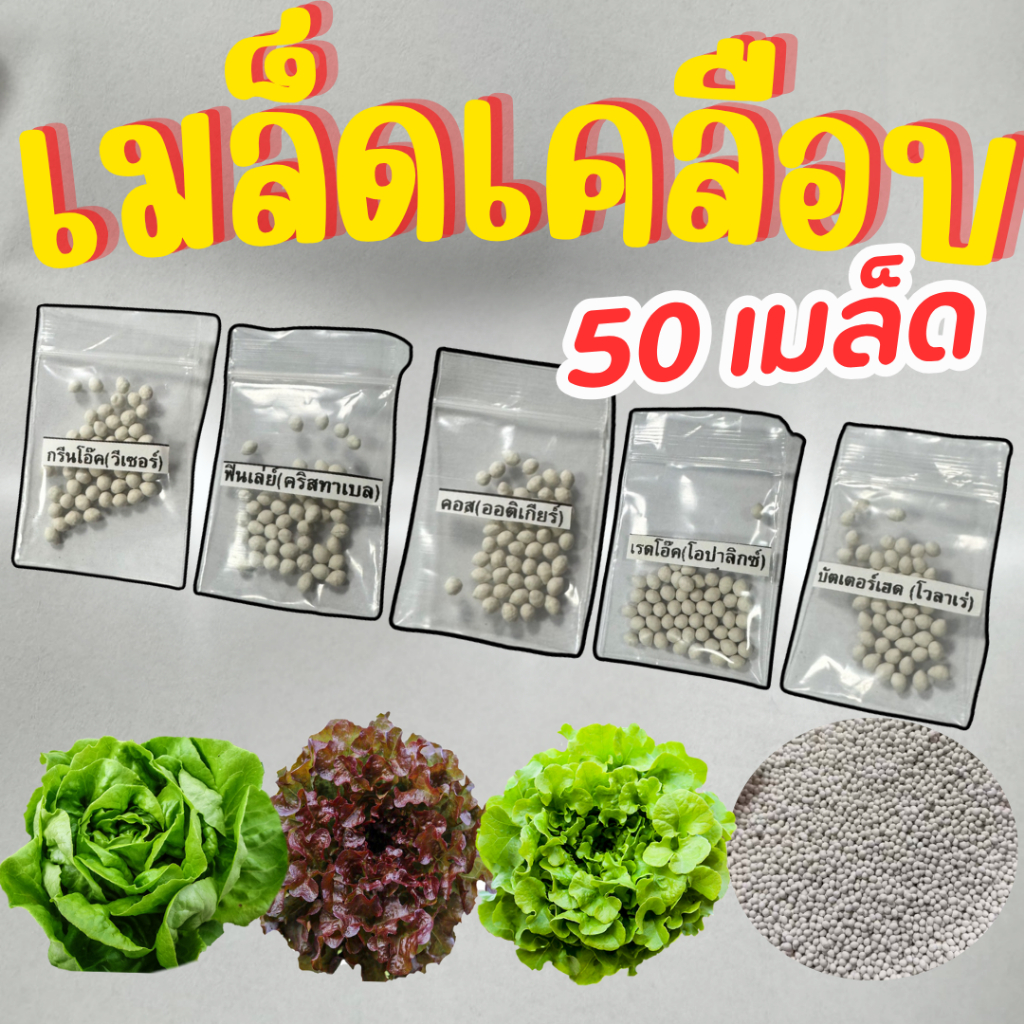 เมล็ดเคลือบ เมล็ดผักสลัดชนิดเคลือบ (แบ่งถุงละ 50 เมล็ด) ENZA ZADEN อัตราการงอกดี