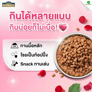 [ 500g ] อาหารสุนัข Perfecta Soft&Meaty เพอร์เฟคต้า อาหารสุนัขเม็ดนิ่ม สุนัขโต คัดสรรวัตถุดิบจากเกรดพรีเมี่ยม
