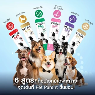 VFcore BAR วิตามินบาร์สำหรับสุนัข12gx20ชิ้น ยกกล่อง