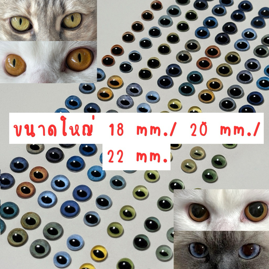 *เลื่อนอ่านก่อนสั่ง*ตาแมว ตาตุ๊กตาแบบสำเร็จขนาดใหญ่ 18/20/22mm.