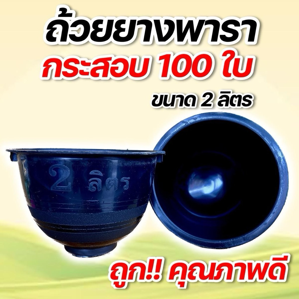 (100ใบ) ถ้วยยางพารา 2 ลิตร คุณภาพดี ถ้วยใหญ่ หนา ทนดี ยางพารา ถ้วย