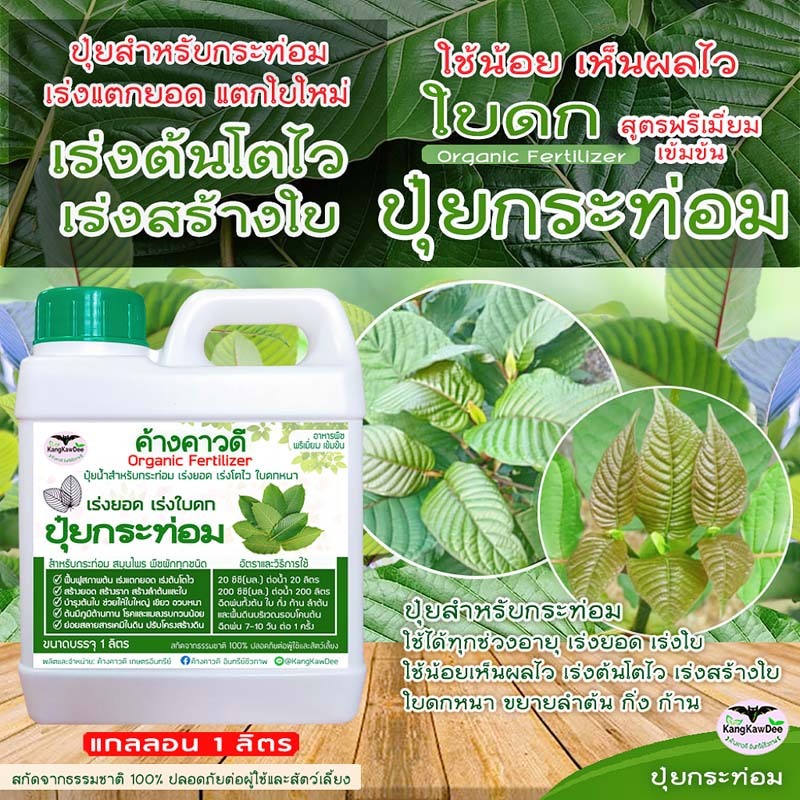 ปุ๋ยกระท่อม เร่งโตไว ค้างคาวดี(ของแท้)1ลิตร เร่งยอด เร่งใบ สร้างใบใหม่ ใบดกหนา ฟื้นบำรุงต้น F1K-1L