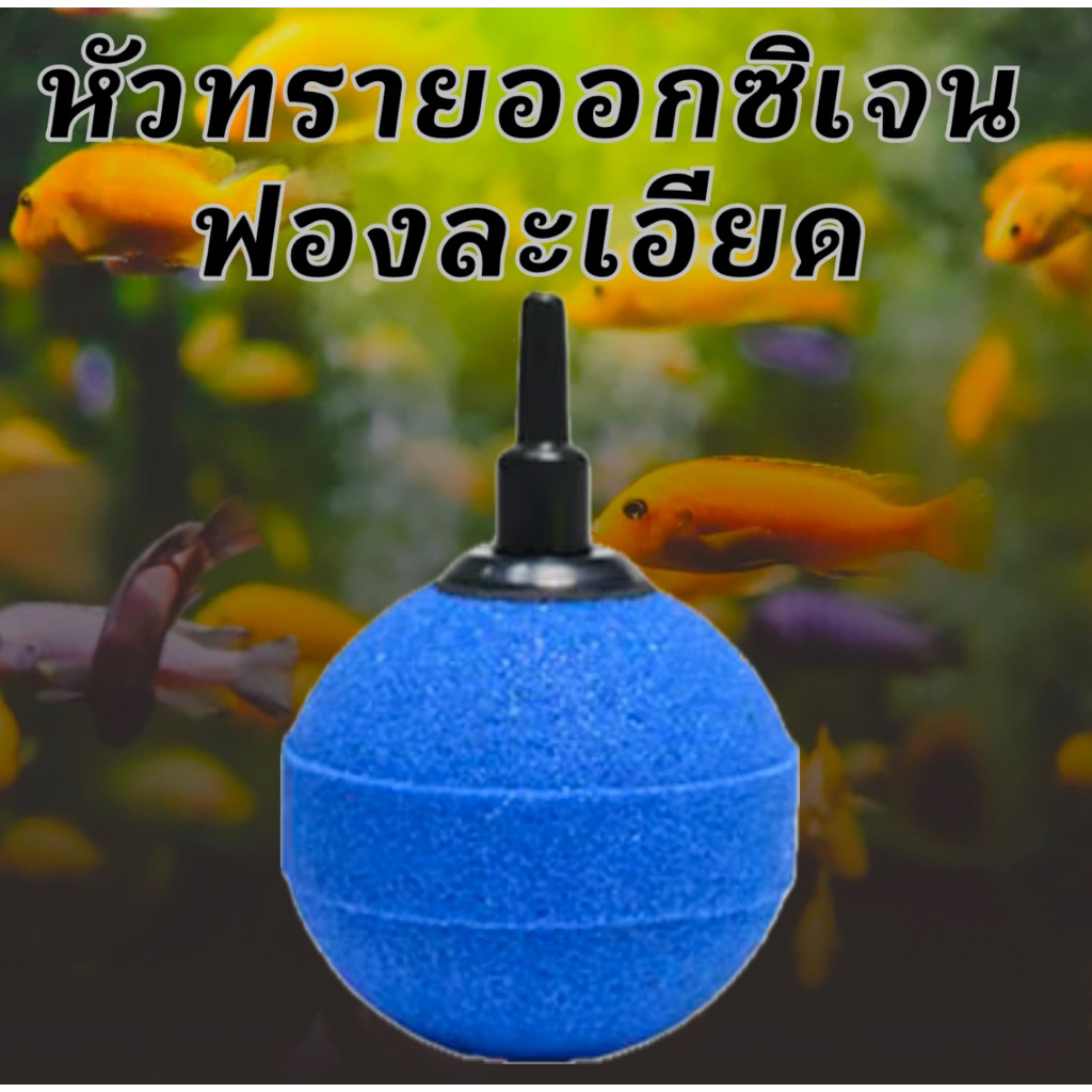 หัวทรายอกซิเจนฟองละเอียด หัวทราย ตู้ปลา อุปกรณ์สำหรับเลี้ยงปลา ออกซิเจนตู้ปลา สา