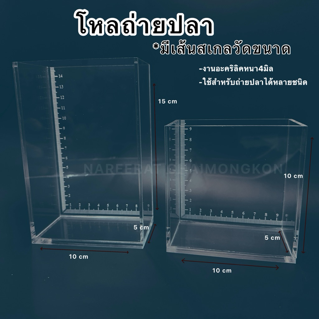 โหลถ่ายปลาอะคริลิค มีเส้นสเกลวัดขนาด