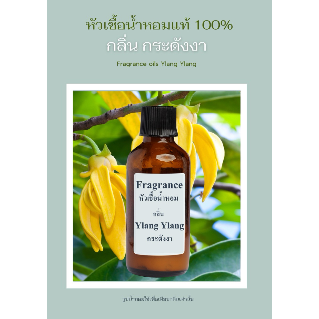 หัวน้ำหอม กลิ่น กระดังงา Ylang Ylang (Fragrance/Perfume)