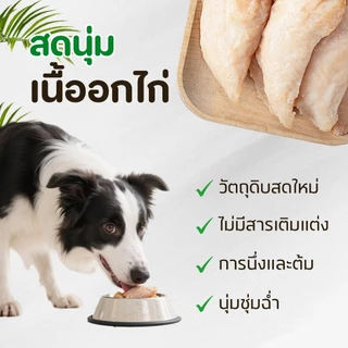 อกไก่นึ่ง ตับไก่ อกไก่คลีน อกไก่ต้ม 40กรัม พร้อมรับประทาน หนึ่งซองต่อวัน อาหารเปียกแมว ขนมหมา ขนมแมว