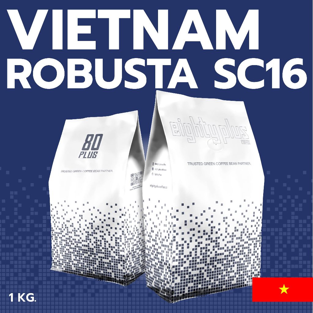 สารกาแฟโรบัสต้า Vietnam Sc16 /สารกาแฟ 80+ Robusta
