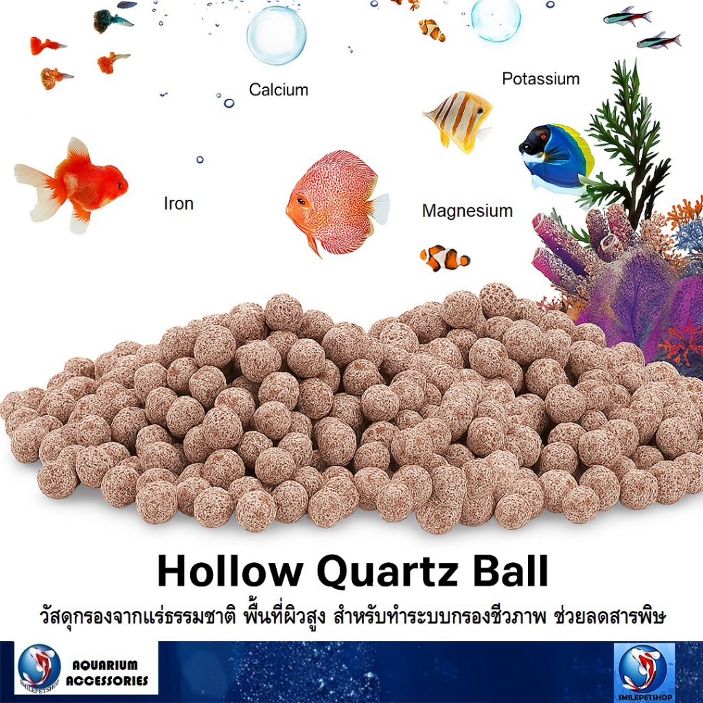 Hollow Quartz Ball (วัสดุกรองจากแร่ธรรมชาติ พื้นที่ผิวสูง สำหรับทำระบบกรองชีวภาพ ช่วยลดสารพิษ)