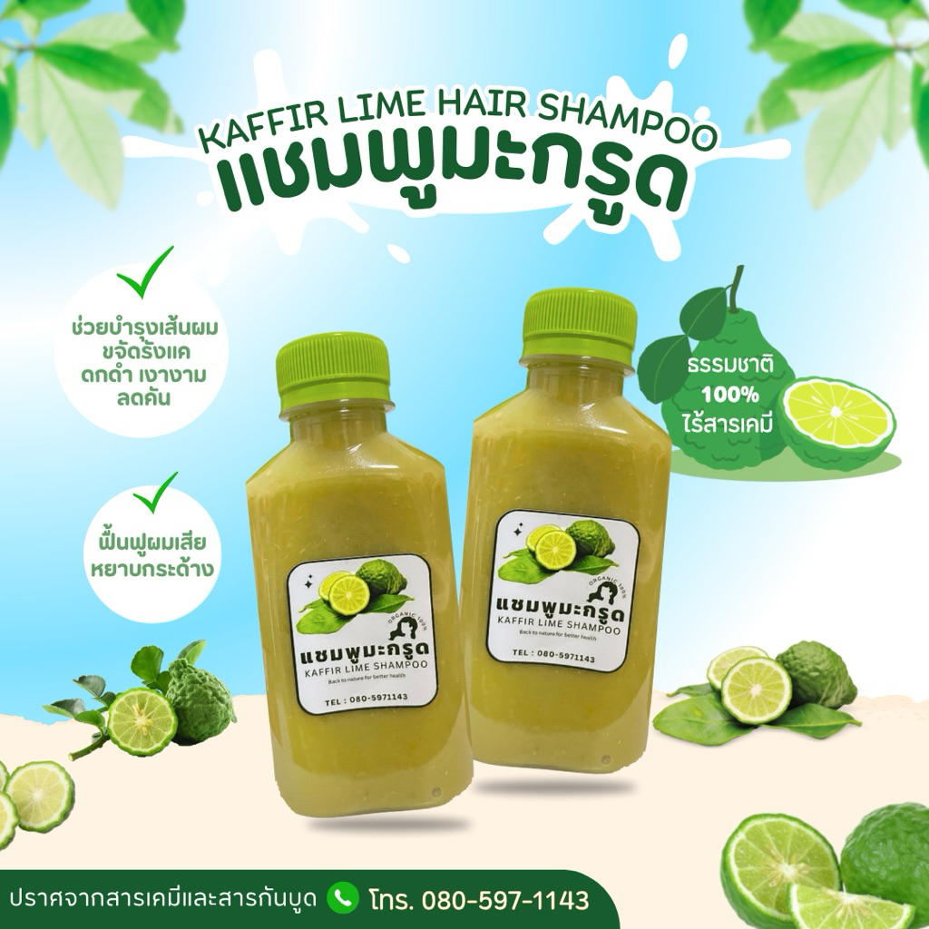 ✅พร้อมส่ง/ธรรมชาติ แท้💯✅แชมพูมะกรูด KAFFIR LIME HAIR SHAMPOO🍋‍🟩