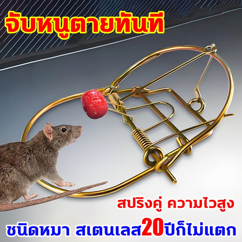 ดีดแรงใช้นาน30ปี กับดักหนู สีทอง 6นิ้ว ชนิดหนา สเตนเลส กับดักหนู โมดิฟาย กําจัดหนู ได้ผลดี ใช้ง่าย กับดักเมาส์สปริง