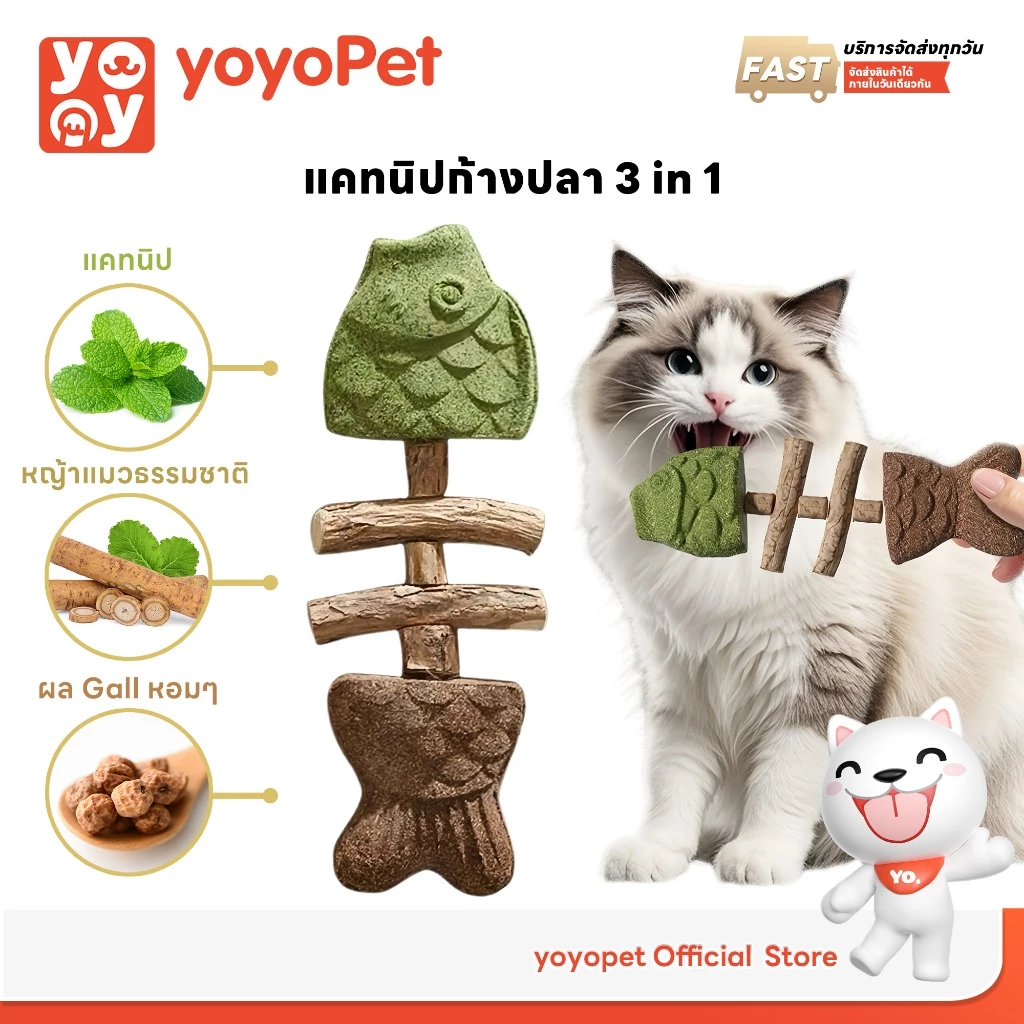 yoyopet : 3in1 แคทนิปก้างปลา ไม้มาทาทาบิ หญ้าแมว ขัดฟัน ฟิน ขับก้อนขน ของเล่นแมว แมวฟิน