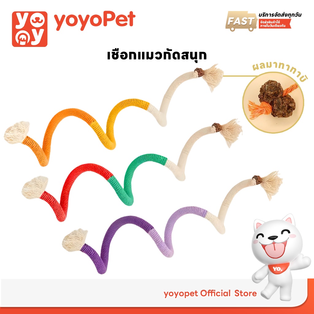 yoyopet : เชือกแมวมาทาทาบิ ของเล่นแมว เชือกตกแมว กัดสนุก ขัดฟันแมว เชือกฝ้ายธรรมชาติ ทําความสะอาดฟัน