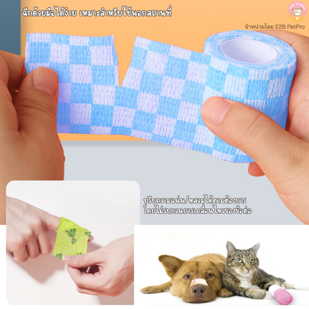 รูปภาพ 5