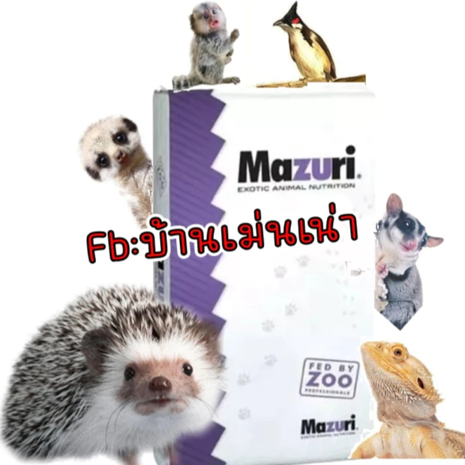 Mazuri(5M6C)EXP:12/2026 มาซูริ อาหารเม่นแคระ ชูก้าร์ ลิงมาโมเสท เบี๊ยดดราก้อน และสัตว์กินแมลงทุกชนิด