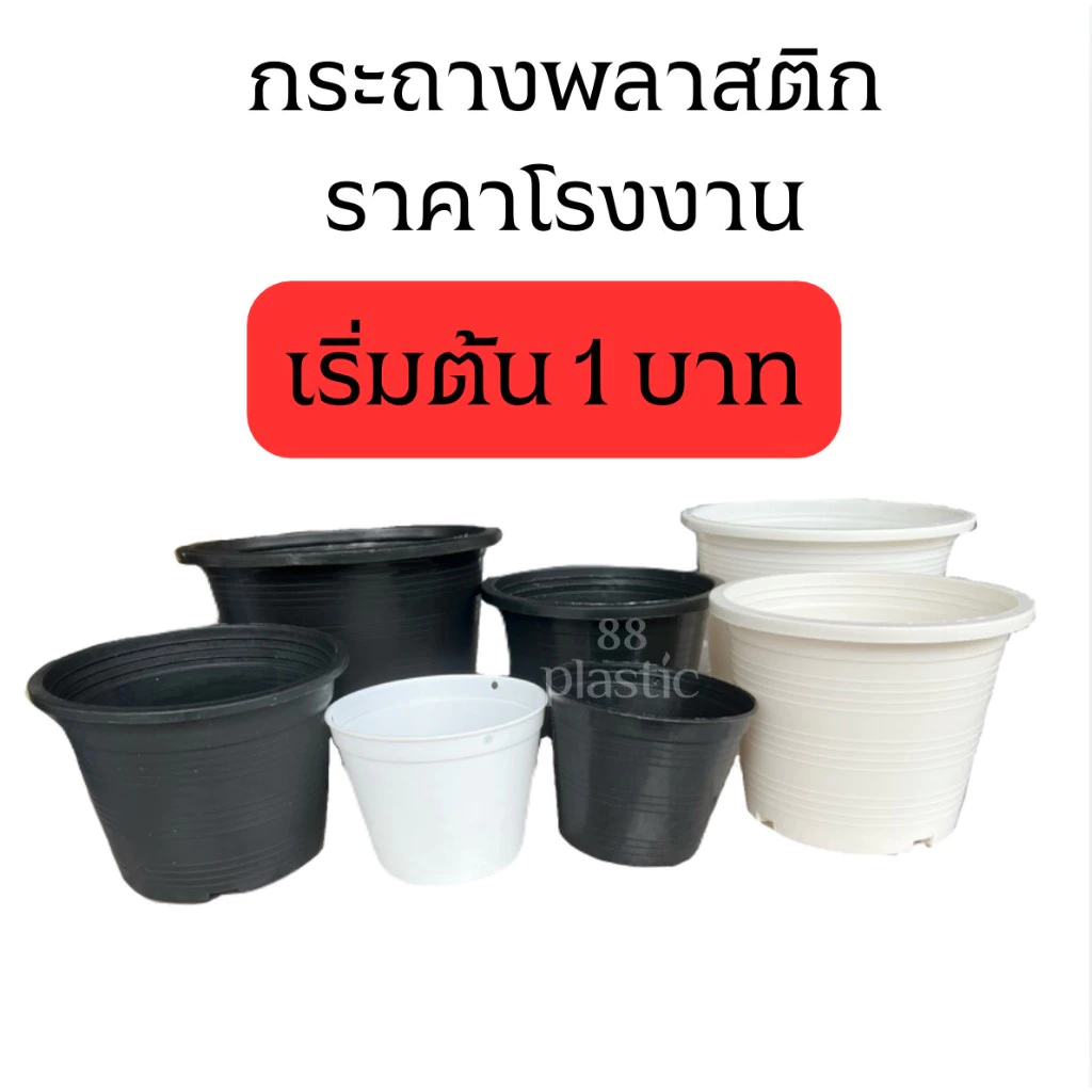 88 กระถางต้นไม้ กระถางแคคตัส กระถาง 8 นิ้ว (7.5)นิ้ว 2 นิ้ว 3 นิ้ว 4 นิ้ว 5.5 นิ้ว 6 นิ้ว