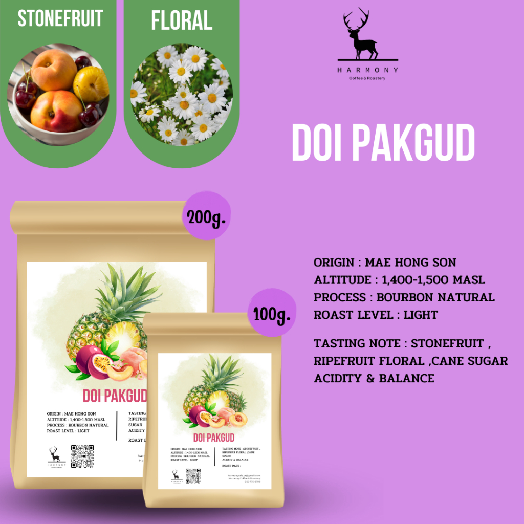 Doi Pakgud : Harmony Coffee เมล็ดกาแฟคั่วอ่อนดอยผักกูด แม่ฮ่องสอน