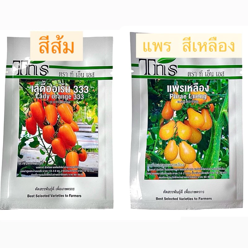 tns เมล็ด มะเขือเทศ ราชินี เลดี้ออเร้น ,แพรเหลือง,โชกุน ออเร้น (ประมาณ 25 เมล็ด)