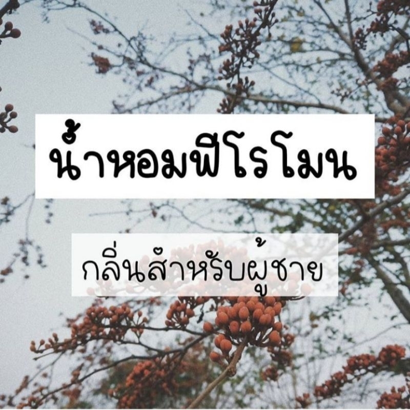 น้ำหอมฟีโรโมน by Noey สำหรับคุณผู้ชายผู้ชายหัวเชื้อ ขนาด 5 มิล