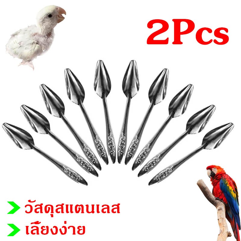 ช้อนป้อนอาหารลูกนก 2Pcs ช้อนป้อนอาหารลูกนกแก้ว วัสดุสแตนเลส ยาว 12 ซม ส่งจากกรุงเทพ