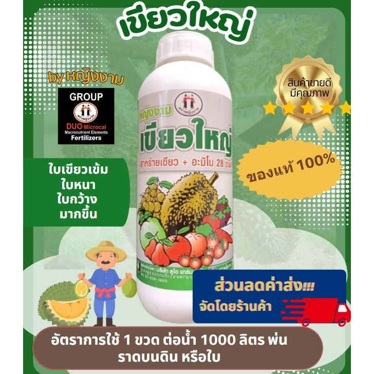 ดูโอเขียวใหญ่ หญิงงามแท้100% เร่งใบเขียวเข้ม ใบหนาใหญ่ ขยายผลรักษาโรคใบ้แก้ว
