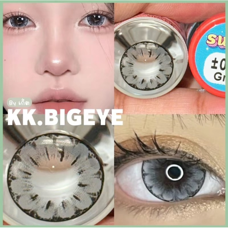 Swan Gray Brown ขนาด14.8 ตาโต! ลายคม! ชัด! ลายดอกไม้ตาโตสีเทา/น้ำตาล บิ๊กอาย ดวงตา คอนแทคเลนส์