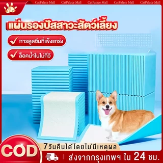 แผ่นรองฉี่ แผ่นรองฉี่สัตว์เลี้ยง แผ่นรองฉี่สุนัขแบบหนา ช่วยฝึกขับถ่าย ซึมซับได้ดี ต่อต้านแบคทีเรีย กักเก็บกลิ่น