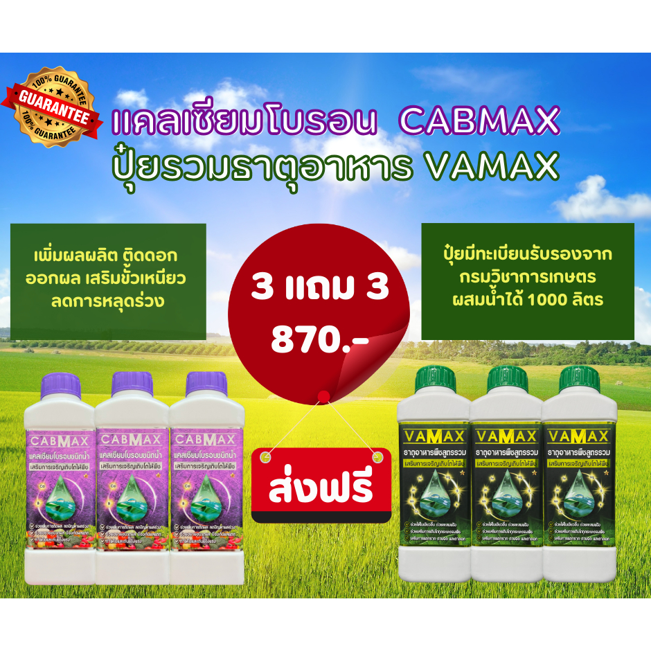 CABMAX+VAMAX แคลเซียมโบรอนเข้มข้ม แถม ปุ๋ยธาตุรวม [ชุด 3แถม3] V3+C3
