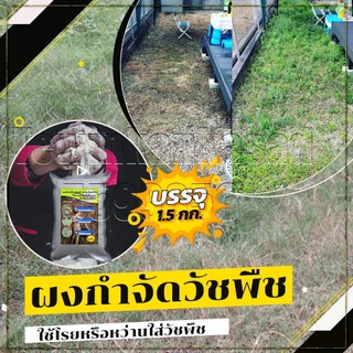 ผงกำจัดวัชพืช ใช้ฆ่าหญ้า ไม้เลื้อย ได้ผล100% ใช้เป็นยาฆ่าหญ้าที่ไม่เป็นอันตรายต่อคนและสัตว์
