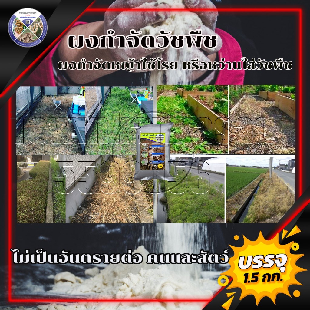 ผงกำจัดวัชพืช ใช้ฆ่าหญ้า ไม้เลื้อย ได้ผล100% ใช้เป็นยาฆ่าหญ้าที่ไม่เป็นอันตรายต่อคนและสัตว์