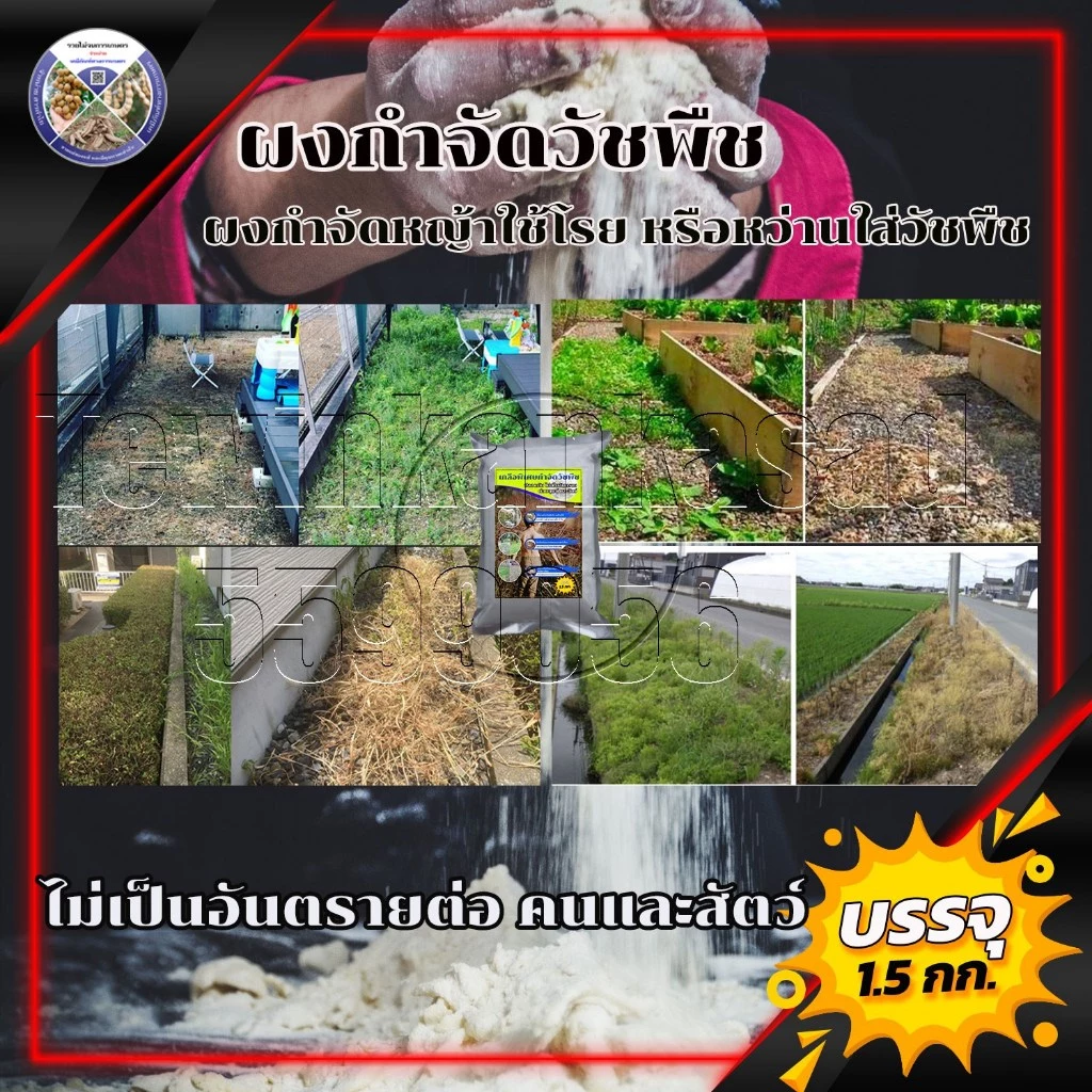 ผงกำจัดวัชพืช ใช้ฆ่าหญ้า ไม้เลื้อย ได้ผล100% ใช้เป็นยาฆ่าหญ้าที่ไม่เป็นอันตรายต่อคนและสัตว์
