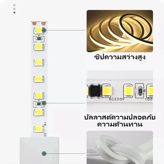OIMIU ไฟแถบนีออน neon flex LED ดัดงอได้ 2/3/5/10/20/30ม สีสวยกันน้ำแรงดัน ต่อปลั๊กให้พร้อมใช้งาน