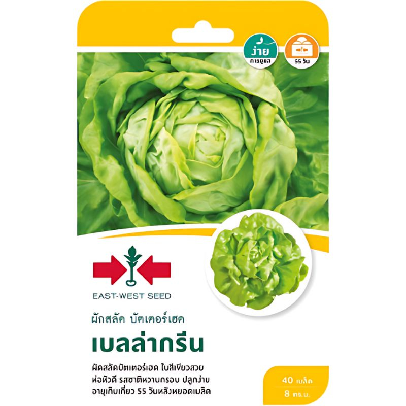 เมล็ดพันธุ์ ผักสลัด บัตเตอร์เฮด เบลล่ากรีน ตราศรแดง