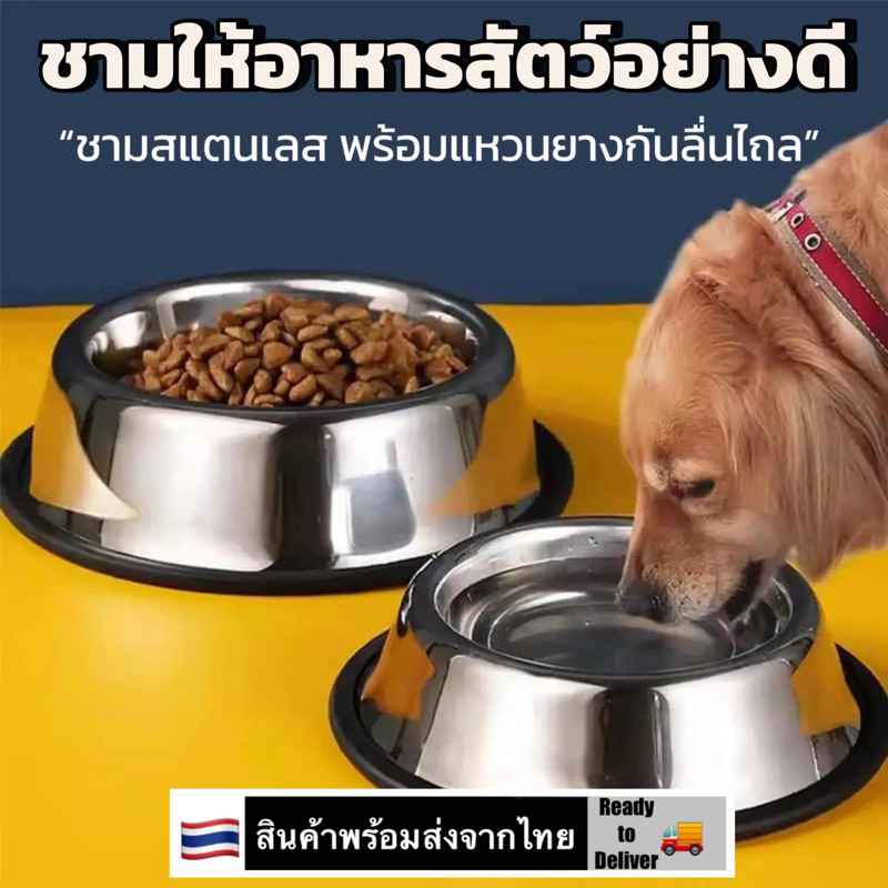 ชามอาหารสัตว์เลี้ยงสเตนเลสกันลื่น ทนทาน ปลอดภัย เลือกขนาดที่ใช่