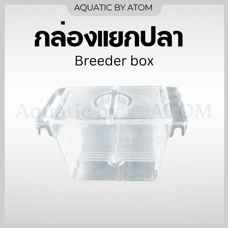 (พร้อมส่ง) กล่องแยกปลา กุ้ง ลูกปลา ปลาป่วยในตู้ปลา Breeder box