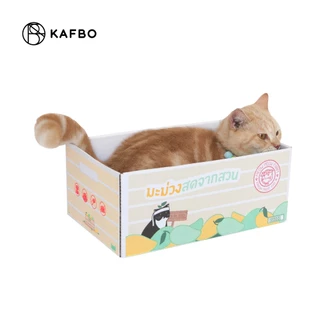 KAFBO Cat box - กล่องมะม่วง กล่องลังแมว บ้านแมว ที่ลับเล็บแมว ที่ฝนเล็บแมว