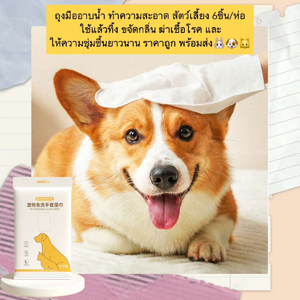 AL-536 ถุงมืออาบน้ํา ทำความสะอาด สัตว์เลี้ยง 6ชิ้น/ห่อ ใช้แล้วทิ้ง ขจัดกลิ่น ฆ่าเชื้อโรคและให้ความชุ่มชื้นยาวนาน ราคาถูก